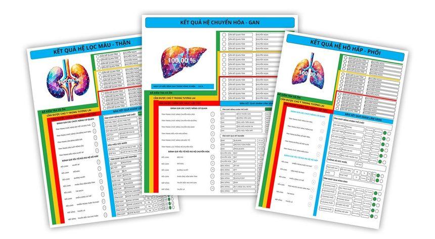 2. QUÁ TRÌNH TƯ VẤN VÀ BÁO CÁO KẾT QUẢ