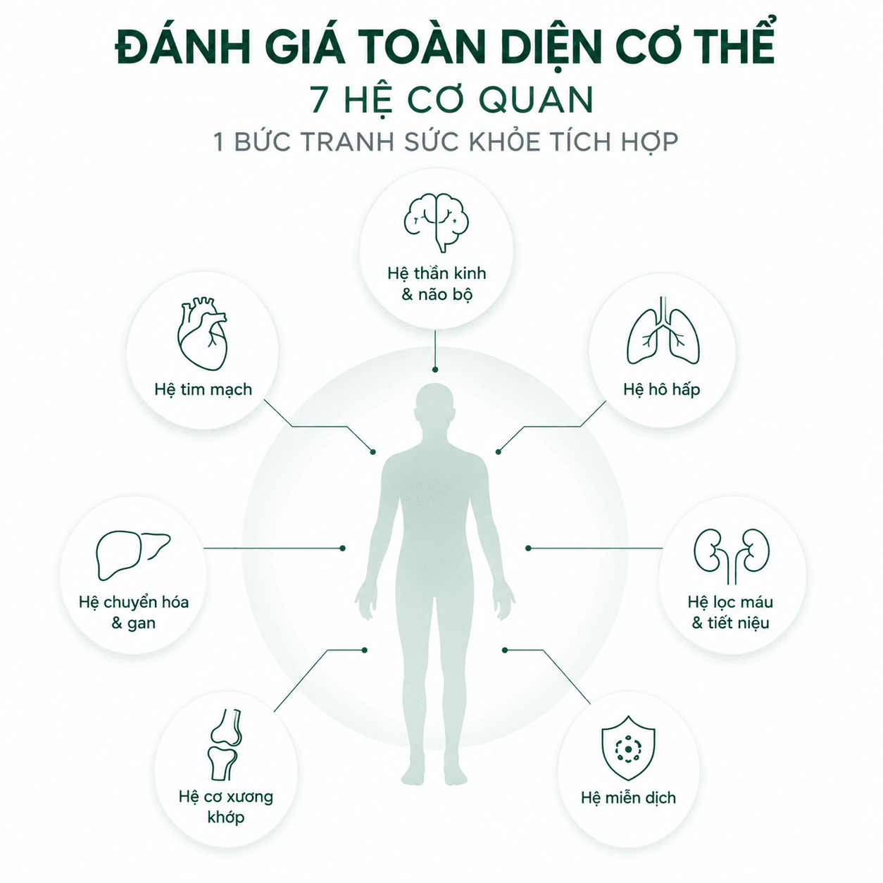 Khám toàn diện 7 hệ cơ quan